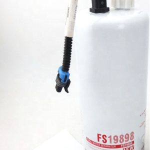 FS19898
