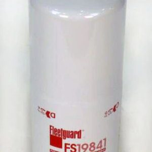 FS19841