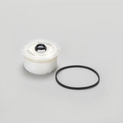 P506036