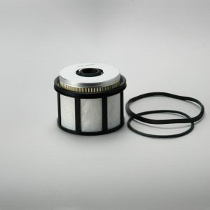 P550437
