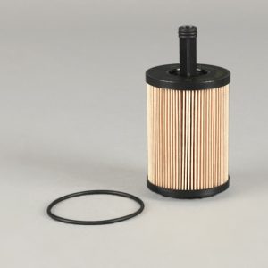 P550819