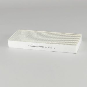 P950620