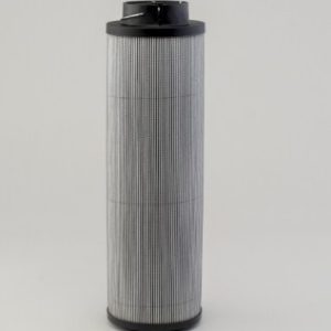 P570313